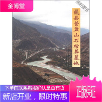 茂县营盘山石棺葬墓地 [正版书籍,售后无忧]