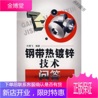 钢带热镀锌技术问答 [正版书籍,售后无忧]