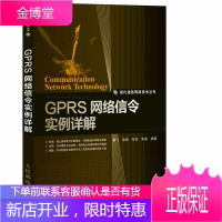 现代通信网络技术丛书:GPRS网络信令实例详解易飞余刚何凌 易飞