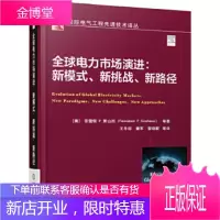 全球电力市场演进:新模式新挑战新路径 [美] 菲雷顿 P. 萧山西(Fereidoon P. Sio