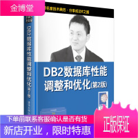 DB2数据库性能调整和优化第2版 牛新庄