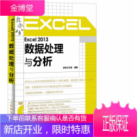 Excel2013数据处理与分析 神龙工作室