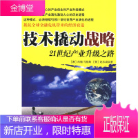 技术撬动战略:21世纪产业升级之路 (澳)约翰·马修斯,(韩)赵东成,刘立