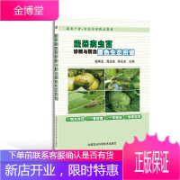 蔬菜病虫害诊断与防治原色生态图谱蔬菜产业农民培训精品教材 杨再发,周运贵,师永