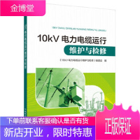 10kV电力电缆运行维护与检修 《10kV电力电缆运行维护与检修》编委会