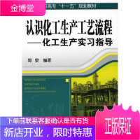 高职高专十一五规划教材·认识化工生产工艺流程:化工生产实习指导 郭泉著