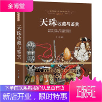 天珠收藏与鉴赏 天降神石 文化珍藏图鉴大系艺术 鉴赏收藏 金刚菩提天珠净化文玩鉴定西藏九眼天珠古玩