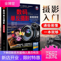 单反摄影实拍 单反摄影轻松入门 摄影教材 摄影教程从入门到精通 单反使用教程技巧大全 书籍
