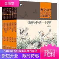 曹文轩画本草房子秃鹤不是一只鹤浸月寺的风铃月光下红菱船奶奶的艾地沉没的大红门