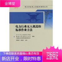 电力行业无人机巡检标准作业方法