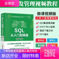 SQL数据库 SQL从入门到精通 SQL必知必会 数据库入门经典教程 数据挖掘 sql server