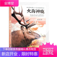 火海神鹿马文秋童书9787533560614 儿童小说短篇小说小说集中国当代小学生