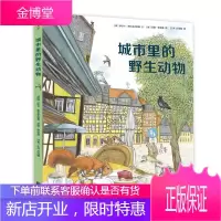 城市里的野生动物伊尔卡·索科洛夫斯基文童书9787550295681 野生动物少年读物