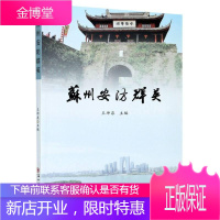 苏州安防群英王坤泉传记9787567233959 安全设备工业企业企业家生平事迹普通大众