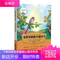 变得勇敢的小知更鸟/经典动物故事克拉拉迪林厄姆皮尔逊童书9787541489198