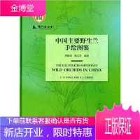中国主要野生兰手绘图鉴唐振缁科学与自然9787030473202 兰科野生植物中国图集