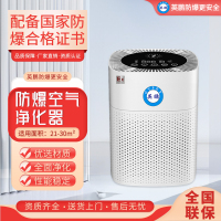 防爆净化器YPHB-5EX(JH)活性炭滤层全面杀菌除甲醛甲苯雾霾异味高效空气净化室内办公工厂实验室