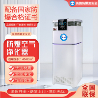 防爆净化器YPHB-61.5EX(JH)活性炭滤层全面杀菌除甲醛甲苯雾霾异味高效空气净化室内办公工厂实验室