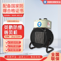 英鹏防爆暖风机BFM-5EX-LD PTC半导体大面积大功率加热防水绝缘便捷式取暖器实验化工养殖厂