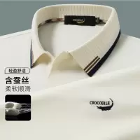 鳄鱼恤CROCODILE 夏易打理舒适休闲商务POLO衫男短袖T恤