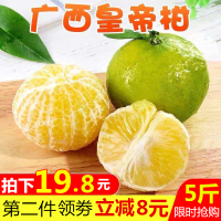 【发货延迟暂定正月十五后】广西贡柑5斤中大果 （单果50mm+）柑橘桔子 新鲜孕妇水果