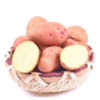 【靓果汇】云南红皮小土豆5斤装 农家自种新鲜蔬菜现挖马铃薯