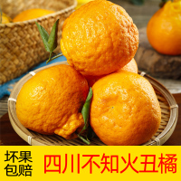 【靓果汇】四川不知火丑橘5斤装 果园直发 酸甜多汁