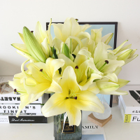 黄色多头百合水养鲜花 同城速递鲜花花束 15朵百合