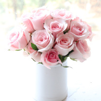 [玫瑰皇后]云南基地直发水养玫瑰鲜花花束 15支+5支防损耗 送配草保鲜剂