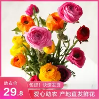 48小时顺丰发货[玫瑰皇后]云南基地直发百合玫瑰鲜花花束云南产地康乃馨洋桔梗鲜花花束
