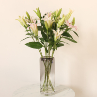 云南百合鲜切花