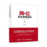 正版 网红是怎样炼成的