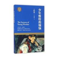 正版二手9成新少年维特的烦恼
