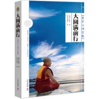 正版二手9成新 大圆满前行