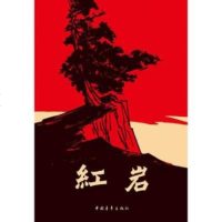 正版二手9成新 红岩