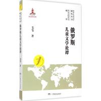 正版二手9成新俄罗斯儿童文学论谭