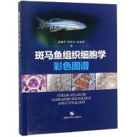 正版二手9成新斑马鱼组织细胞学彩色图谱