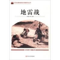 正版二手9成新 地雷战