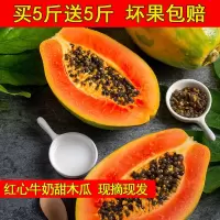 【买5斤送5斤】云南牛奶冰糖红心木瓜 当季现摘应季青木瓜 海南甜木瓜
