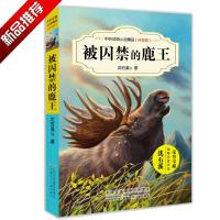 正版   被囚禁的鹿王 沈石溪中外动物小说精品升级版 中小学生课外书读物系列 三四五六年级 8-10-12-15周岁