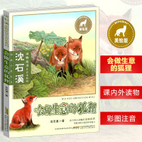 会做生意的狐狸 沈石溪动物故事注音本系列 美绘版 中小学生课外书读物系列 三四五六年级 8-10-12-15周岁儿童