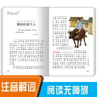 读书不是为爸妈全套4册彩图注音版小学生一二三四年级课外阅读书籍带拼音的故事书儿童读物6-7-8-10-12周岁班主任