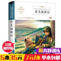 苦儿流浪记正版 小学四年级必读课外书 班主任推荐经典书目名著 适合三四年级阅读 小学生青少版新课标