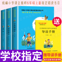 快乐读书吧六年级上册小英雄雨来正版亚米契斯高尔基爱的教育老师推荐儿童文学课外书必读阅读书籍四五必读经典书目部编原著