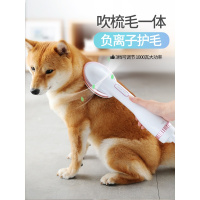 宠物吹风机狗狗吹毛吹干神器专用吹水机大型小型犬大功率静音猫咪