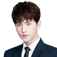 迈威格丝(MY WIGS)假发男生真发短发韩版帅气蓬松发套时尚男士假发全真人发丝假发头套