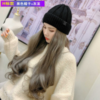 假发帽子女一体时尚潮秋冬加绒针织可拆卸长卷发网红浪毛线帽帽子假发一体 冬款假发帽假发帽子 黑色 H 标款(灰发) 均