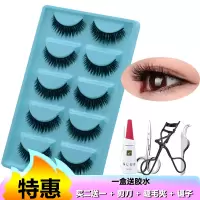 [拍二发三]浓密自然假睫毛纤长逼真假眼睫毛硬梗五对装一盒送胶水 1250[五对装]