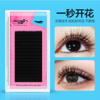 若萱嫁接磁性自动山茶花新手眼睫毛浓密种植柔软假睫毛一秒开花