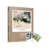 大鱼文化贝壳小说烟罗青春言情爱情文学书籍精装治愈系列赠插图